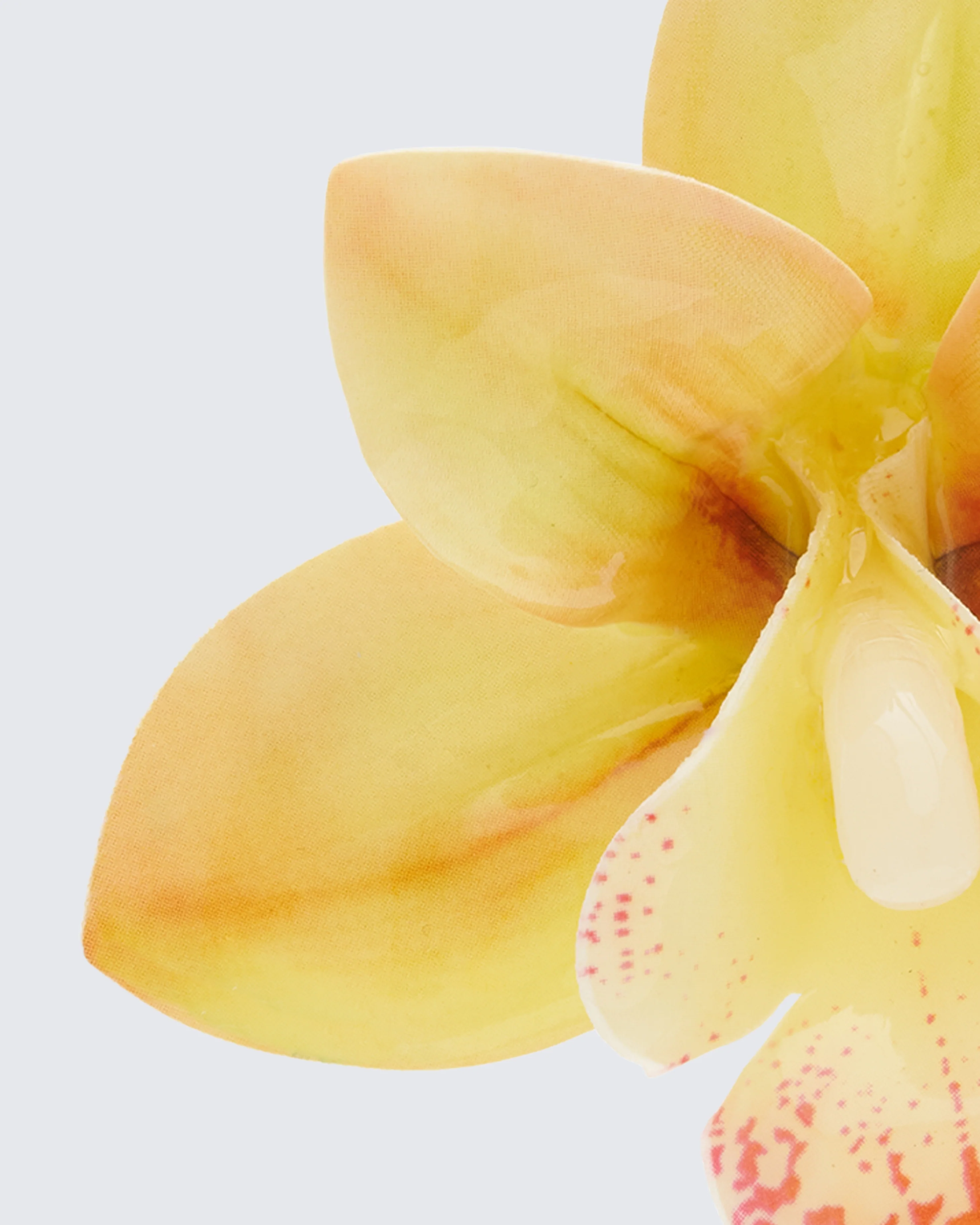 Sabine Ecru True Orchid Earrings - Image 3